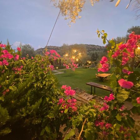 דטקה Suzi'Nin Bahcesi Bungalov Evler מראה חיצוני תמונה
