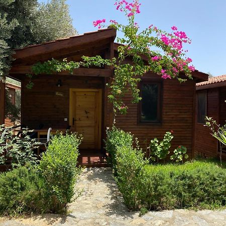דטקה Suzi'Nin Bahcesi Bungalov Evler מראה חיצוני תמונה