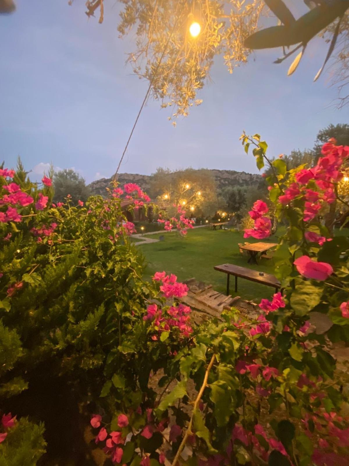 דטקה Suzi'Nin Bahcesi Bungalov Evler מראה חיצוני תמונה