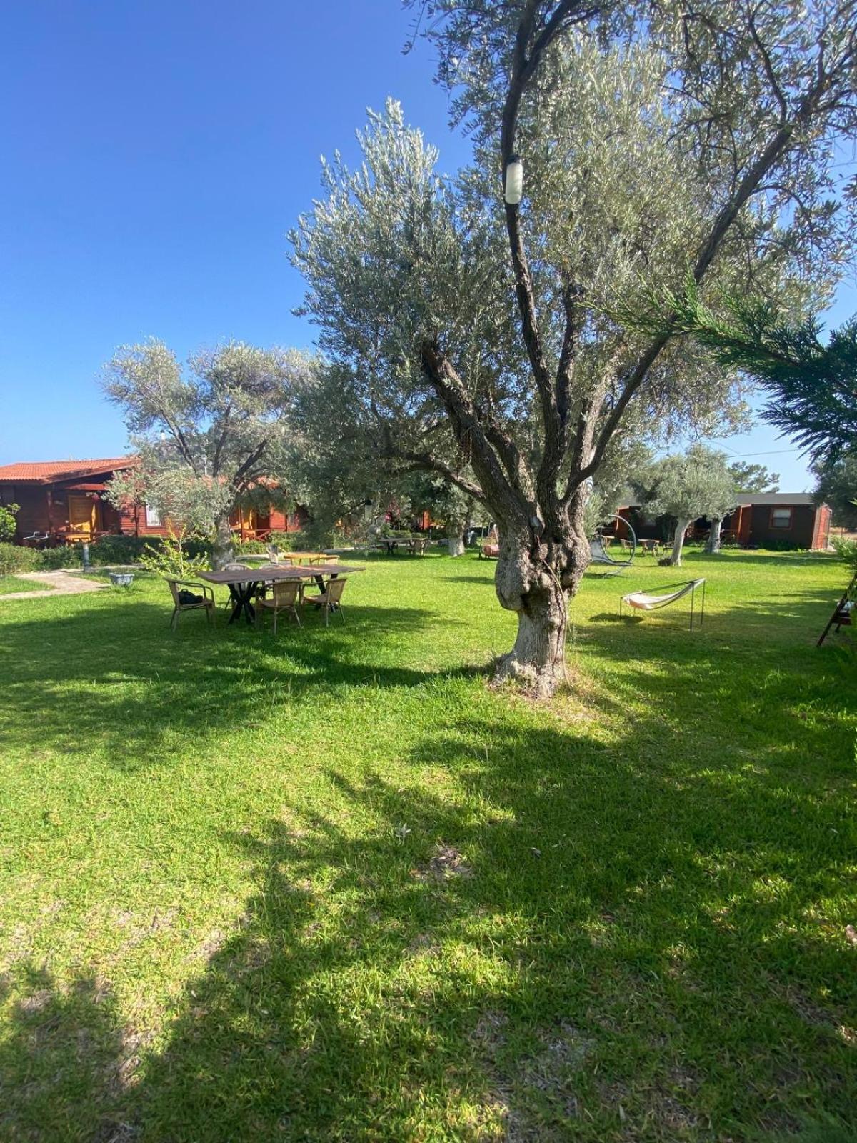דטקה Suzi'Nin Bahcesi Bungalov Evler מראה חיצוני תמונה