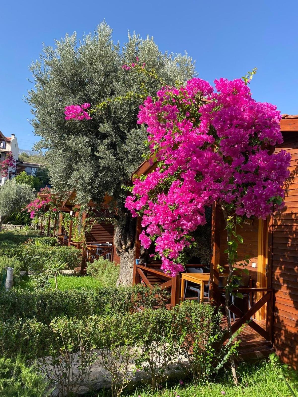 דטקה Suzi'Nin Bahcesi Bungalov Evler מראה חיצוני תמונה